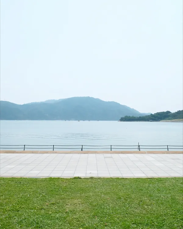 大埔海濱公園草地同吐露港
